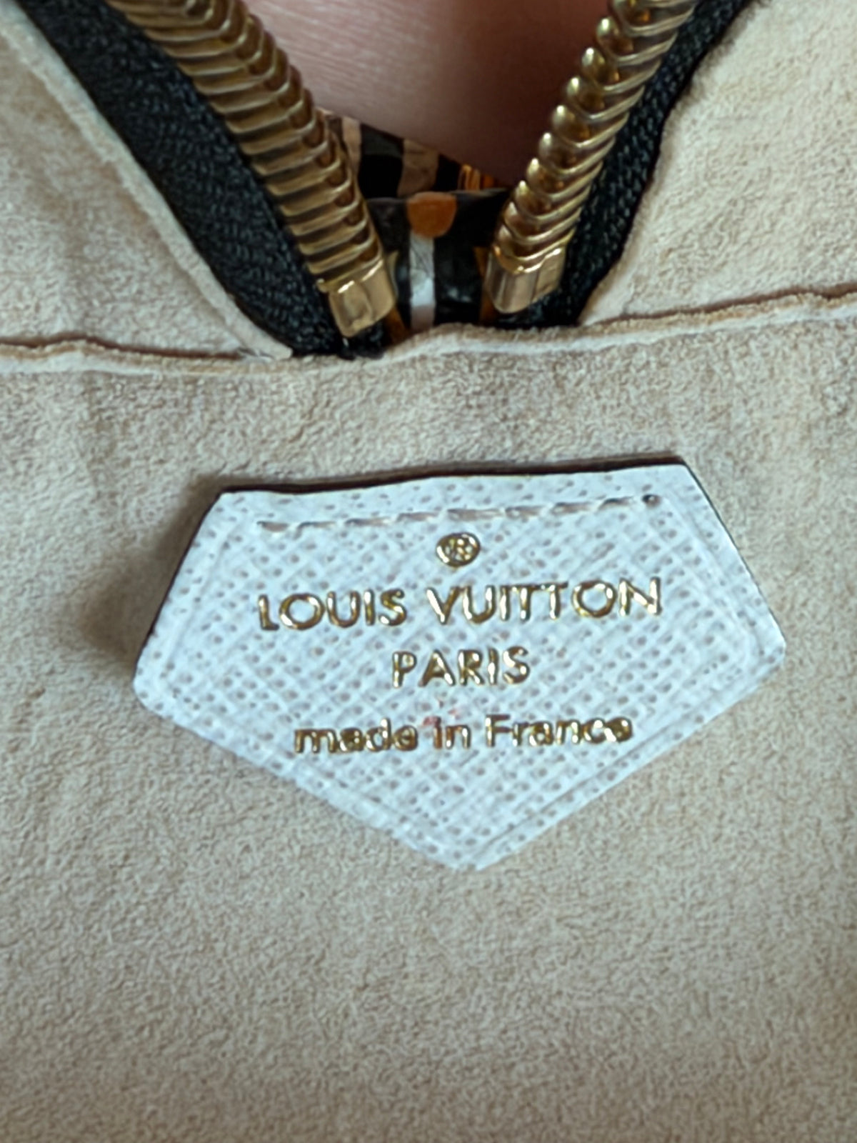 Louis Vuitton Beach Pouch Jungle Rare