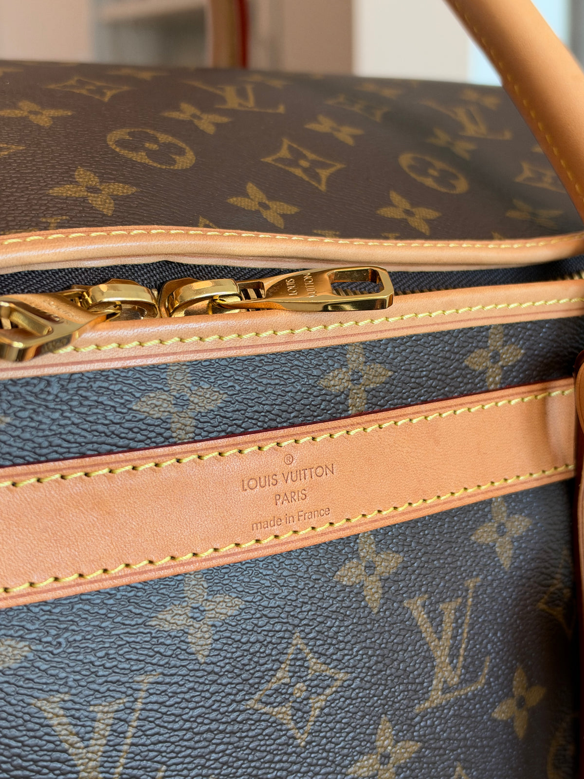 Louis Vuitton Sac Chein Pet Carrier New Model