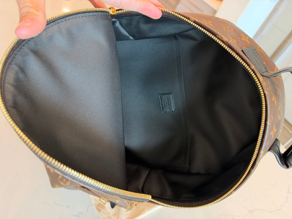 Louis Vuitton Palm Springs MM Backpack