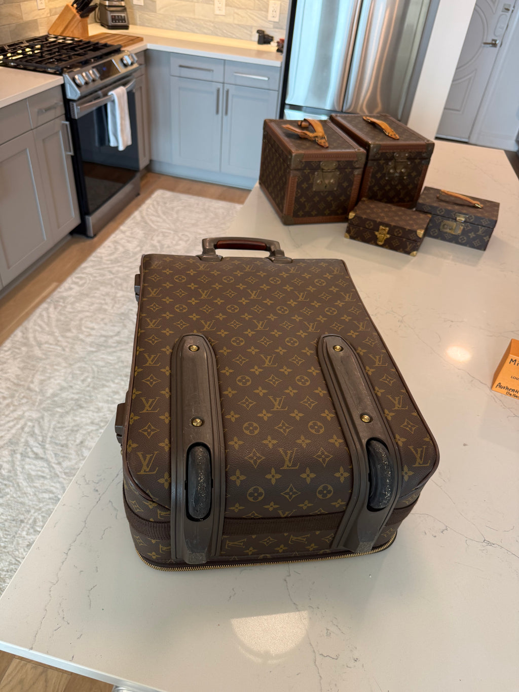 Louis Vuitton Pegase 55 Rolling Luggage