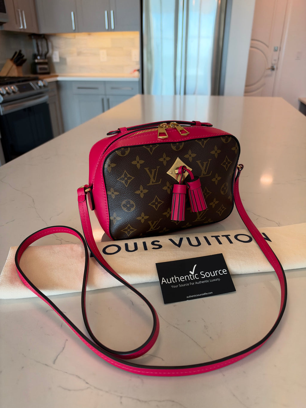 Louis Vuitton Monogram Saintonge - New