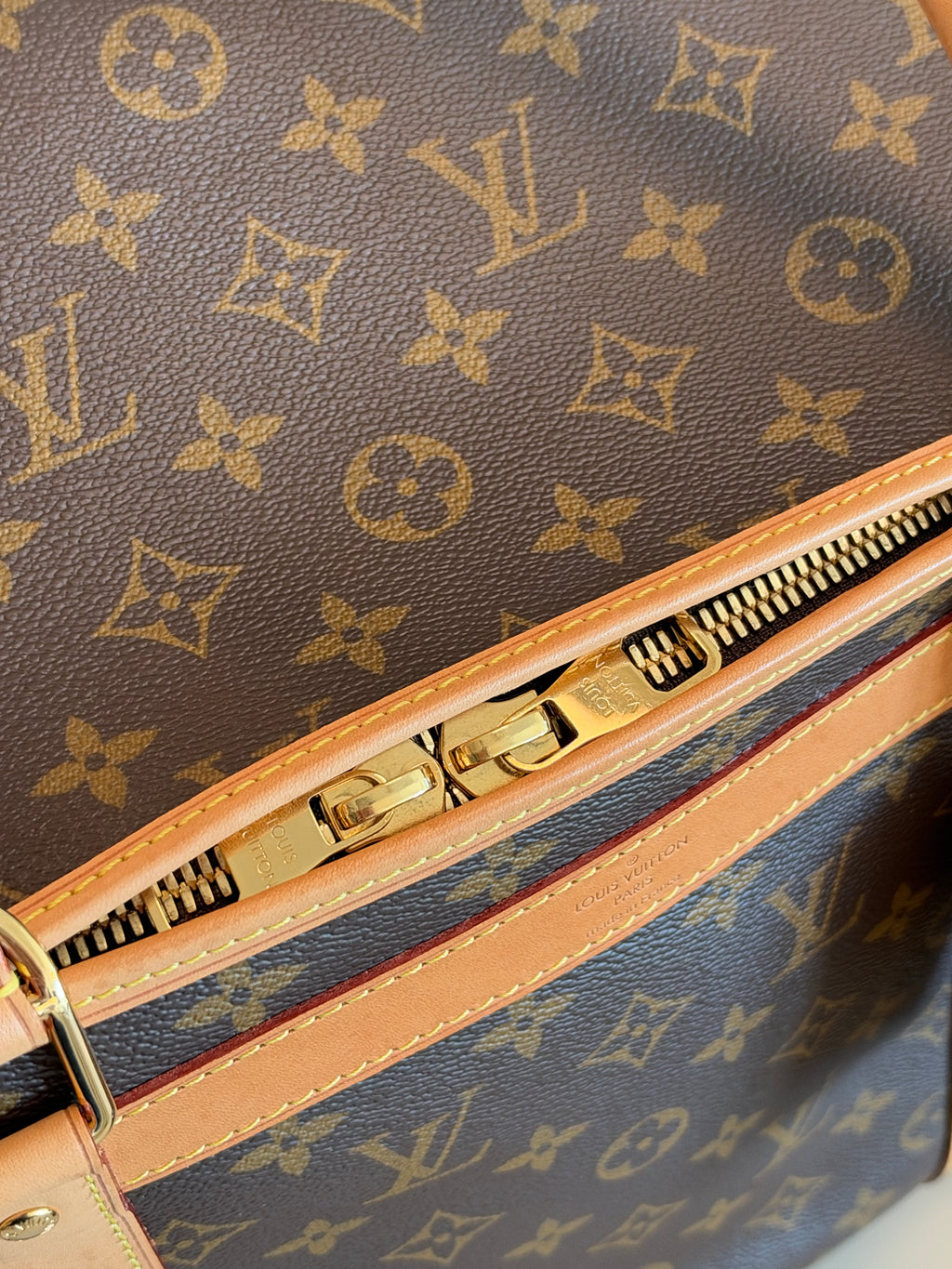 Louis Vuitton Sac Chein Pet Carrier New Model