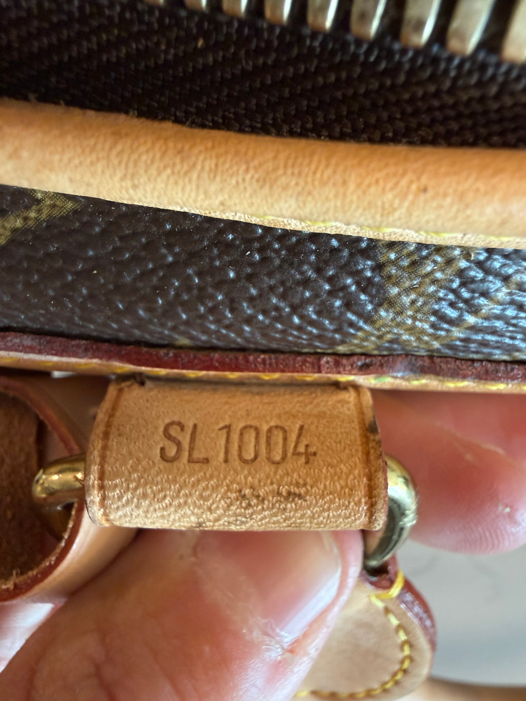 Louis Vuitton Pet Carrier