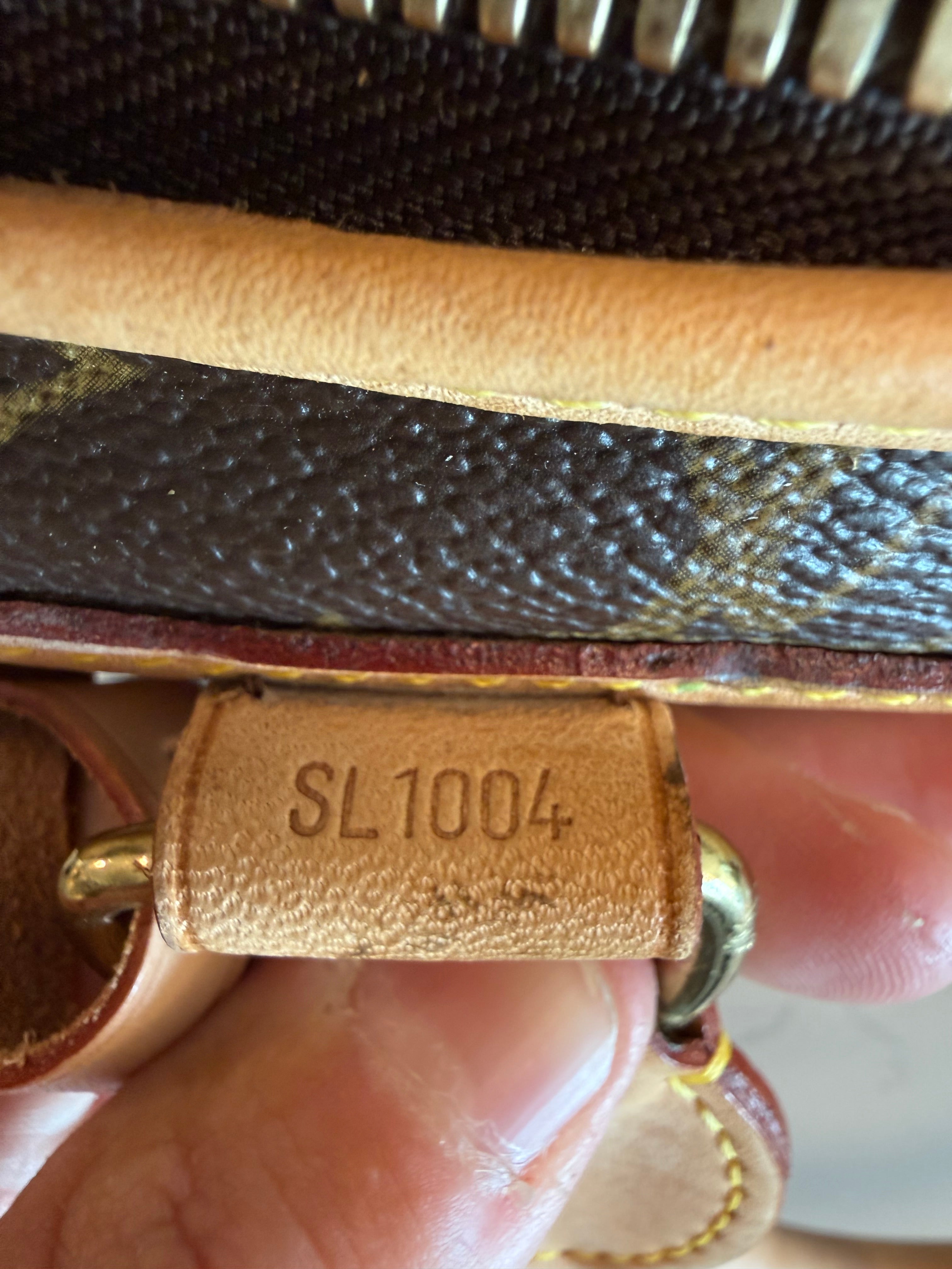 Louis Vuitton Pet Carrier