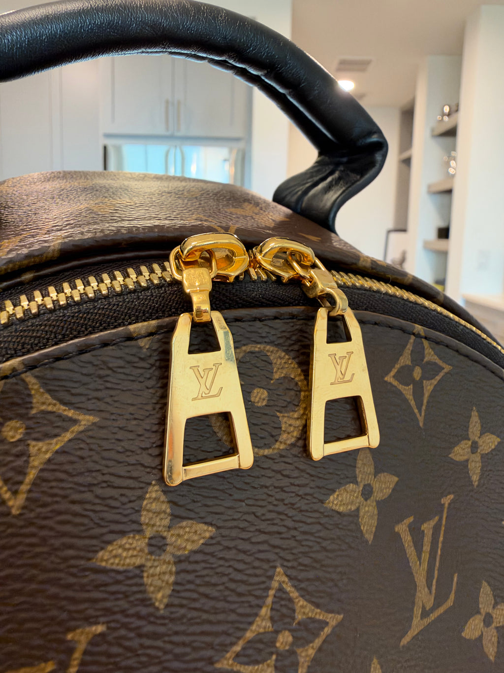 Louis Vuitton Palm Springs MM Backpack