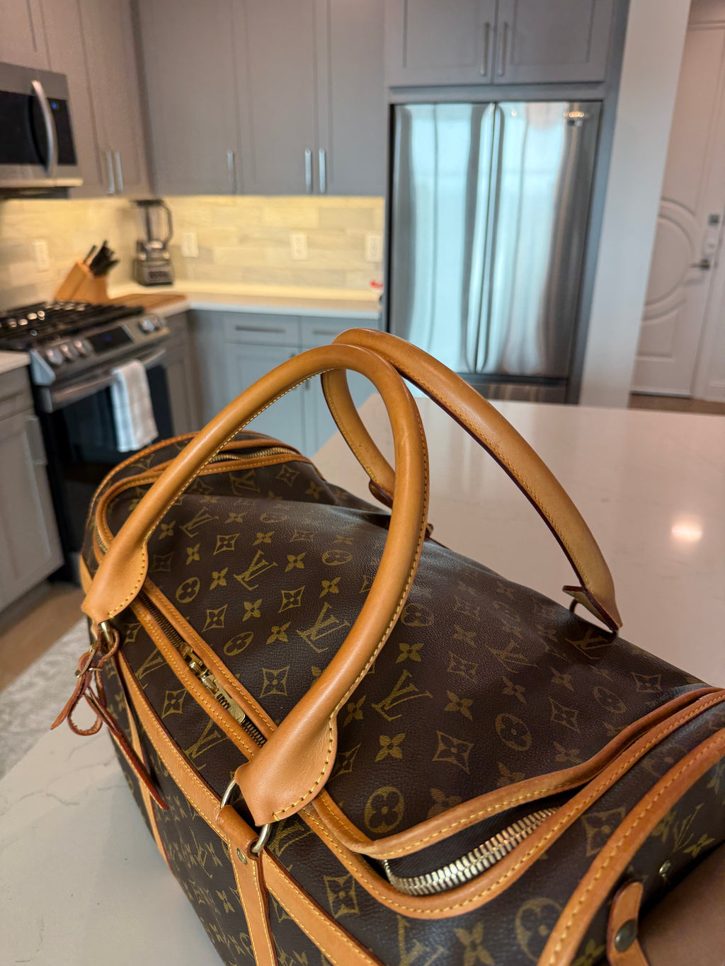 Louis Vuitton Pet Carrier Sac Chein 50