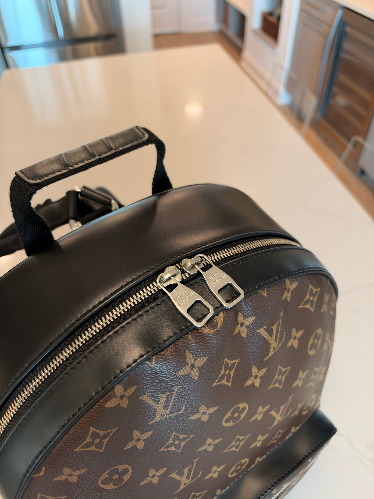 Louis Vuitton Josh Backpack Macassar