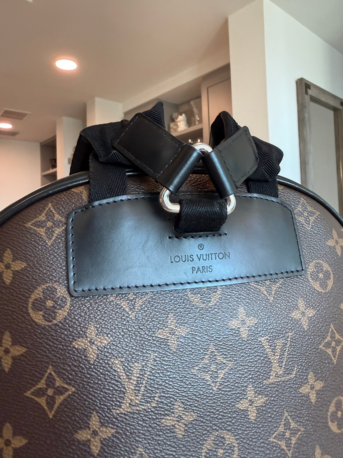 Louis Vuitton Josh Backpack Macassar