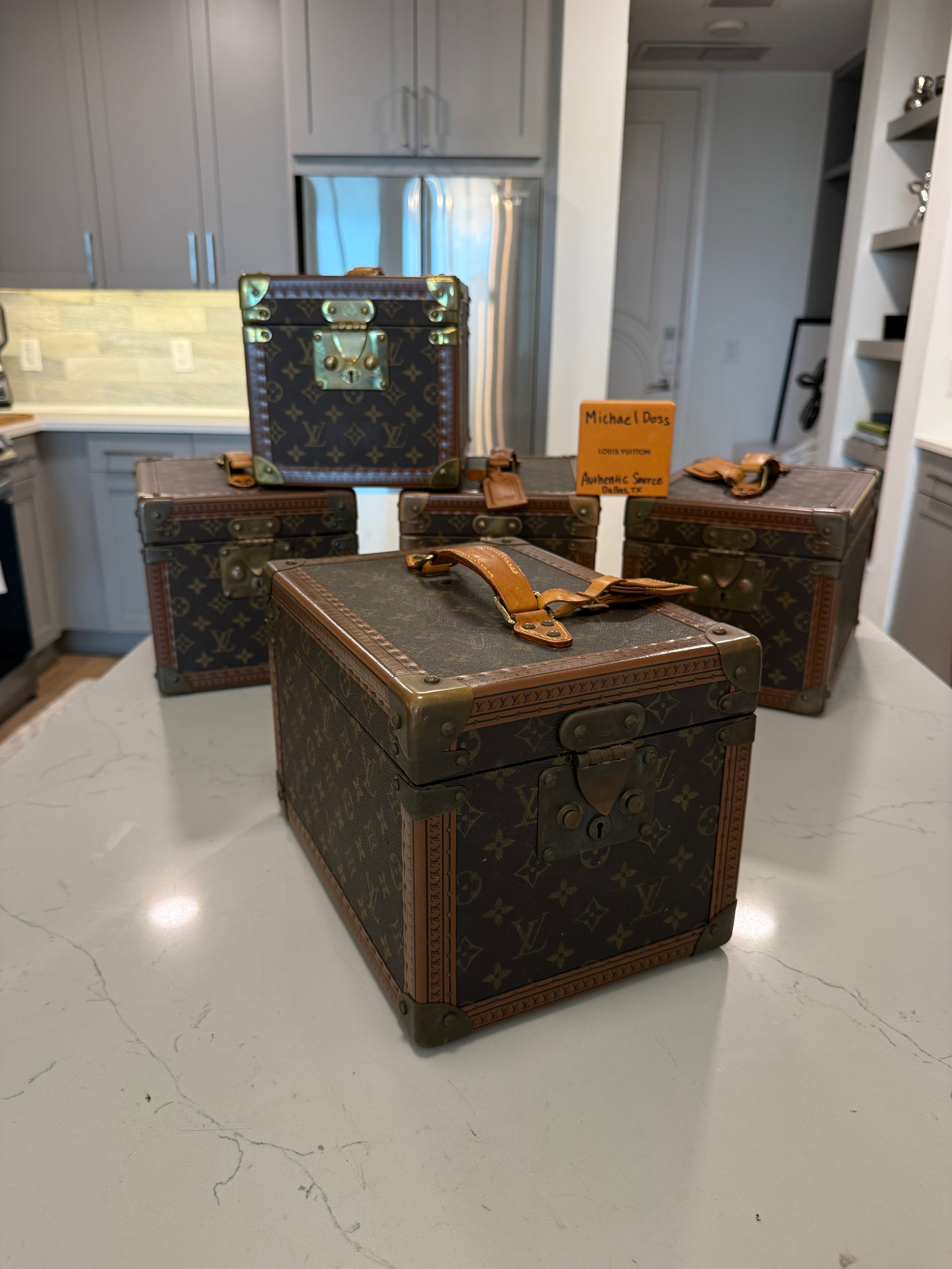 Louis Vuitton Boite Falcons Vanity Trunk