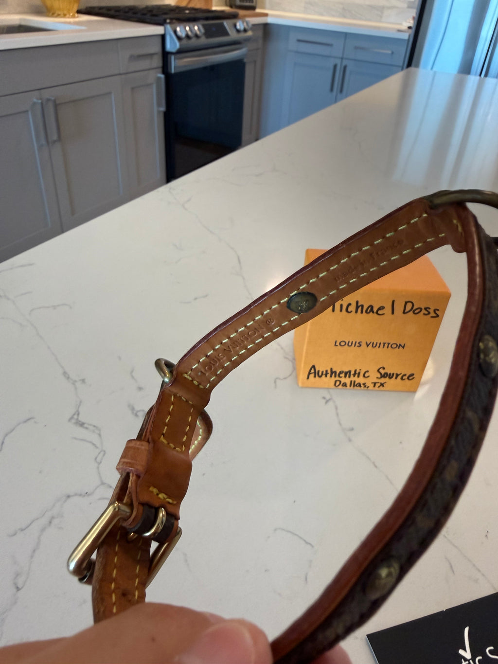 Louis Vuitton Baxter Pet Collar PM