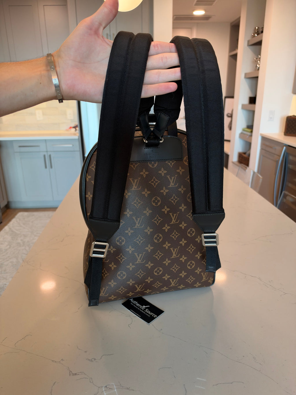 Louis Vuitton Josh Backpack Macassar