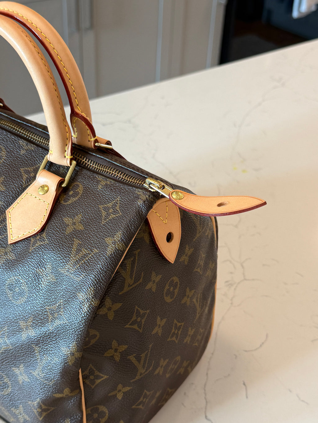 Louis Vuitton Speedy 30