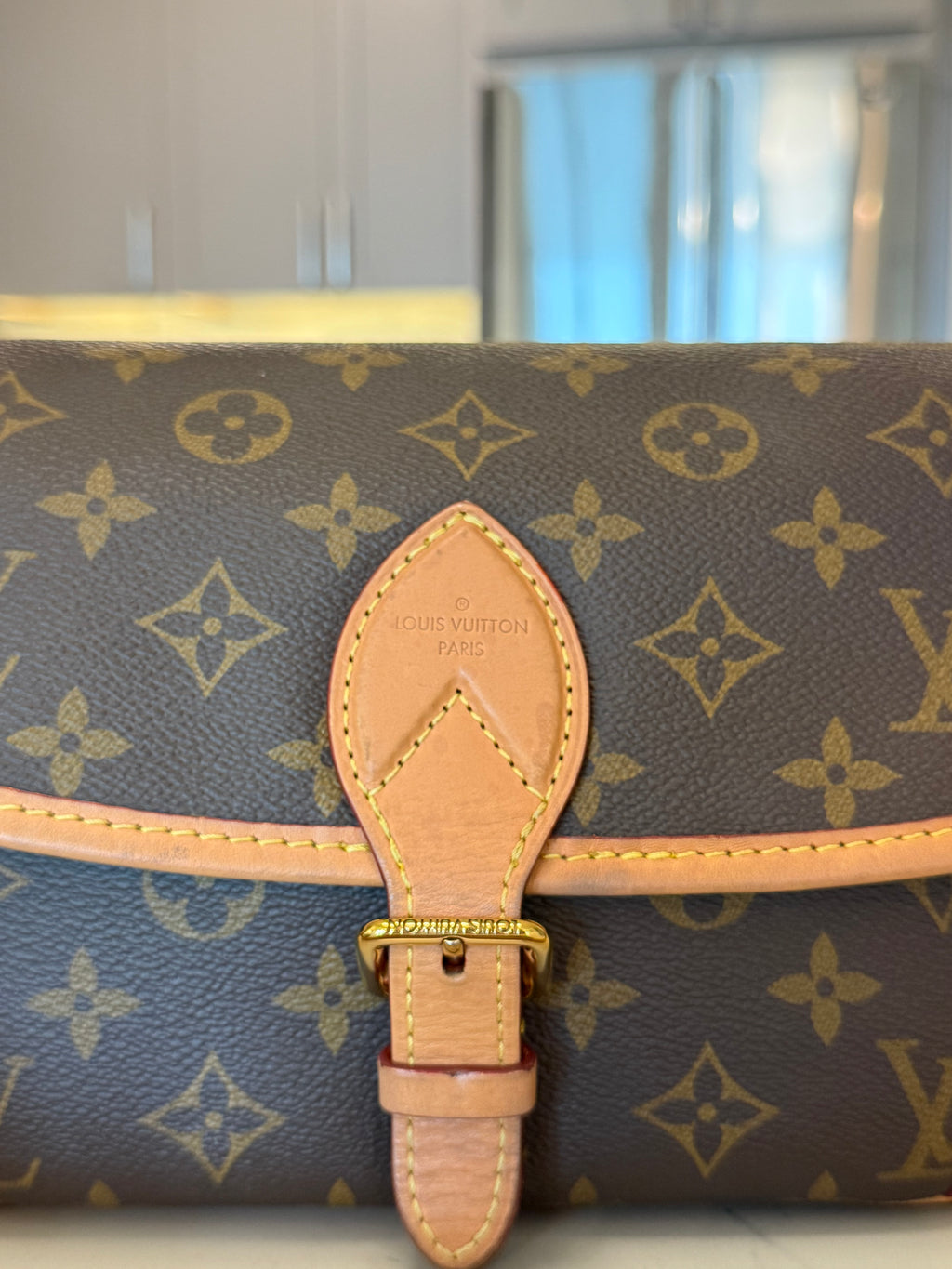 Louis Vuitton Diane NM