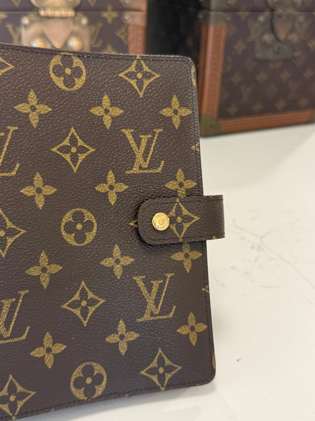 Louis Vuitton Agenda MM
