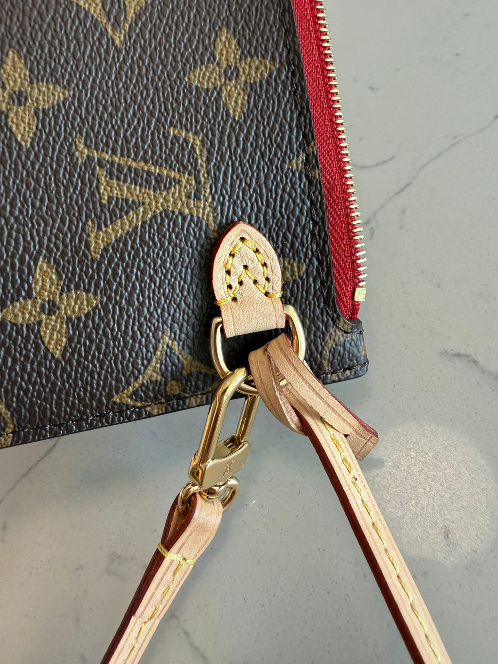Louis Vuitton Clutch/Pouch