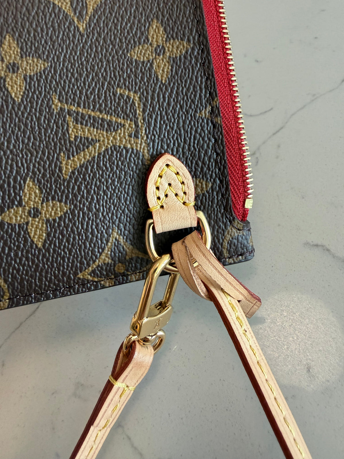Louis Vuitton Clutch/Pouch