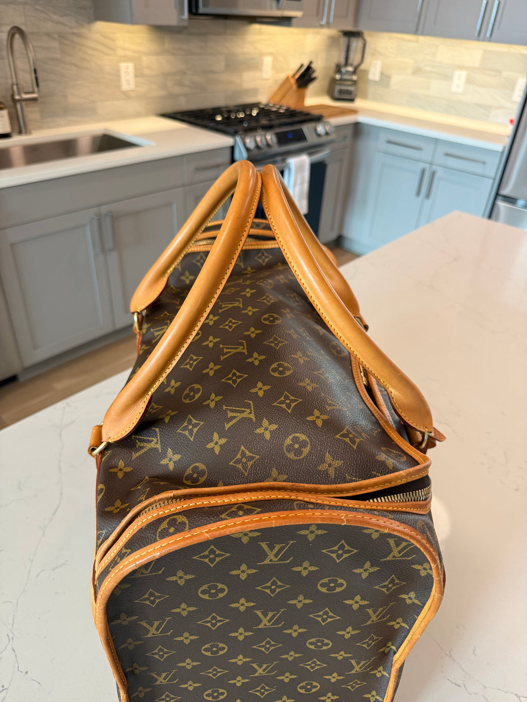 Louis Vuitton Pet Carrier Sac Chein 50