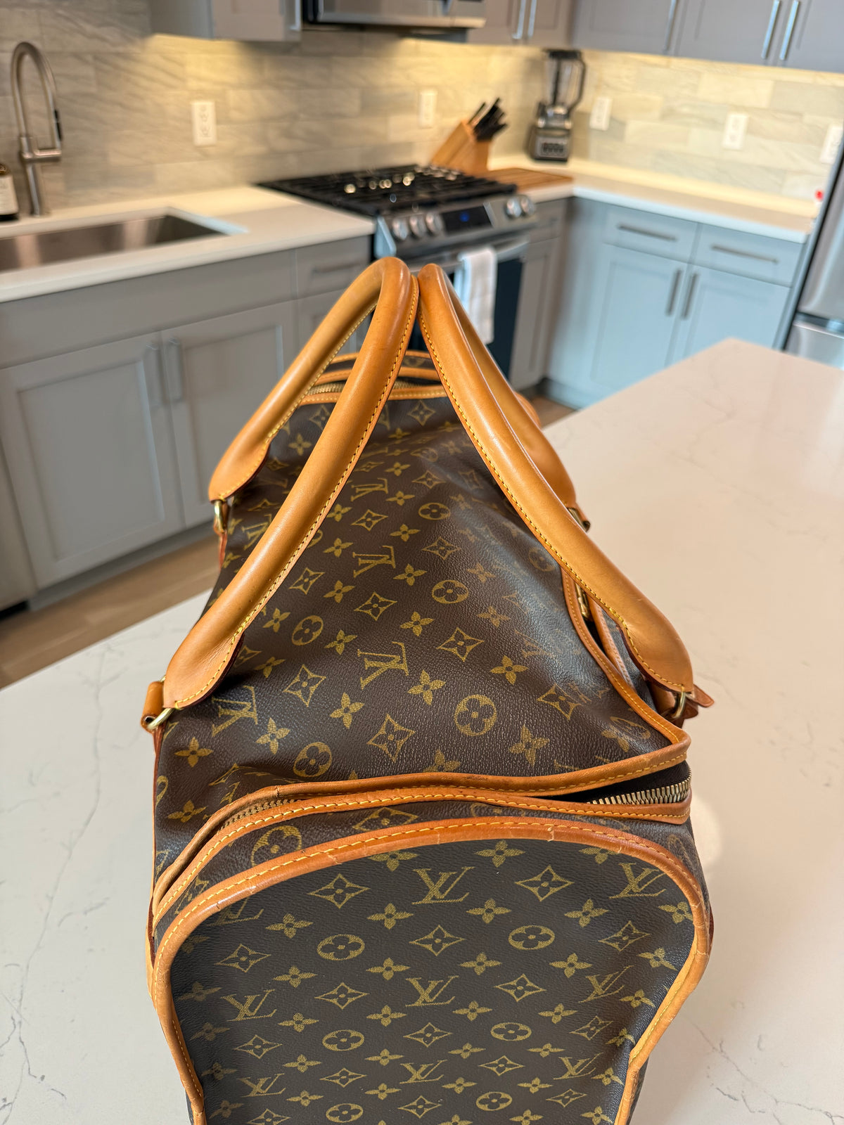 Louis Vuitton Pet Carrier Sac Chein 50