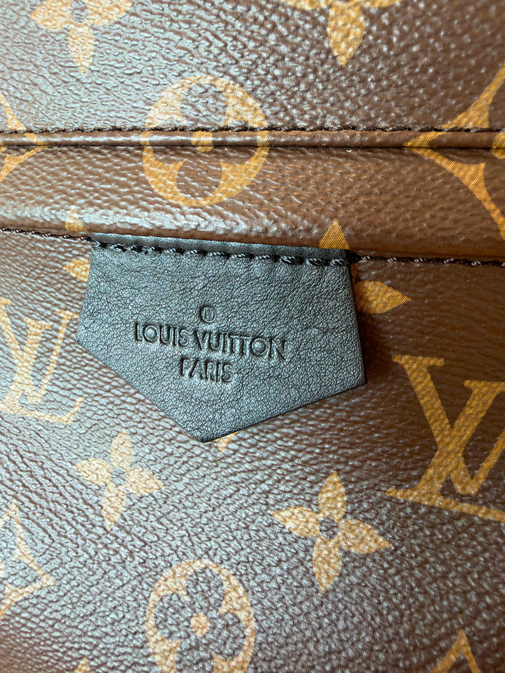 Louis Vuitton Palm Springs MM Backpack