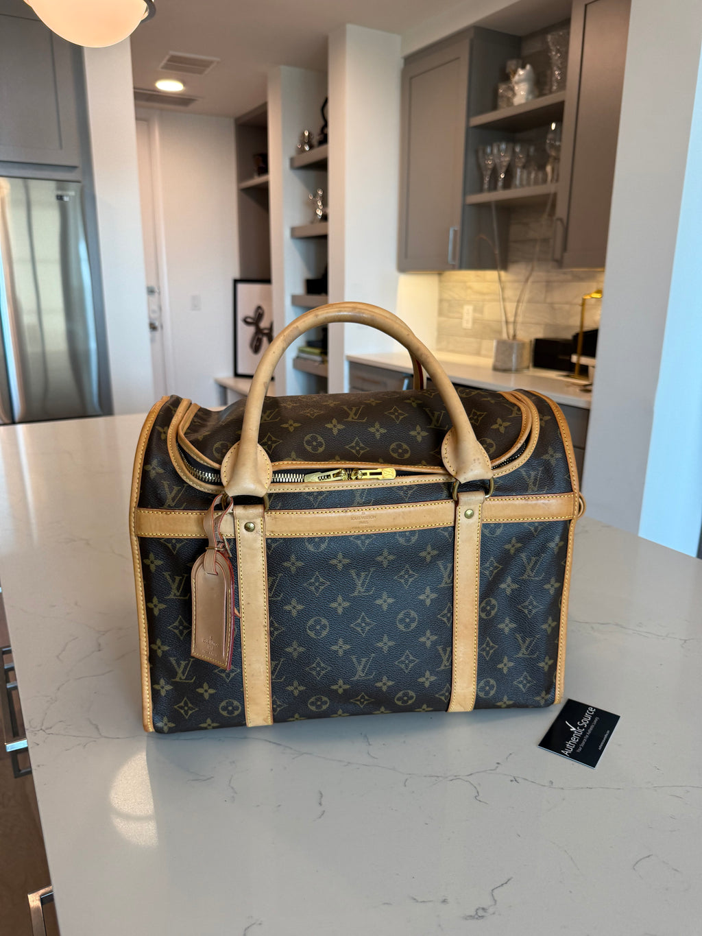 Louis Vuitton Pet Carrier