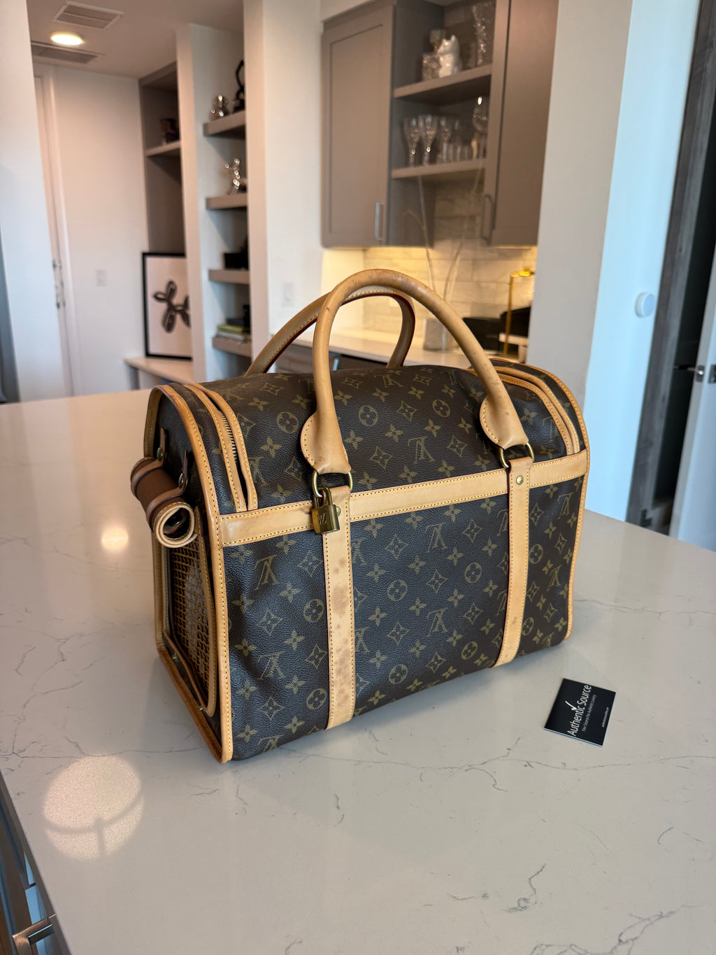 Louis Vuitton Pet Carrier