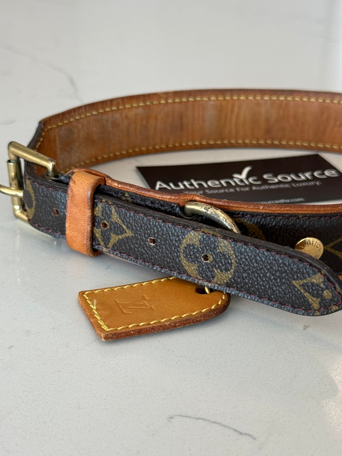 Louis Vuitton Baxter GM Pet Collar