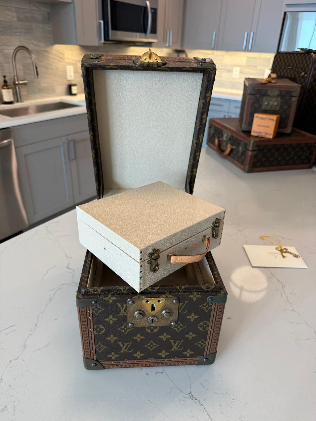 Louis Vuitton Boite Falcons Vanity Trunk