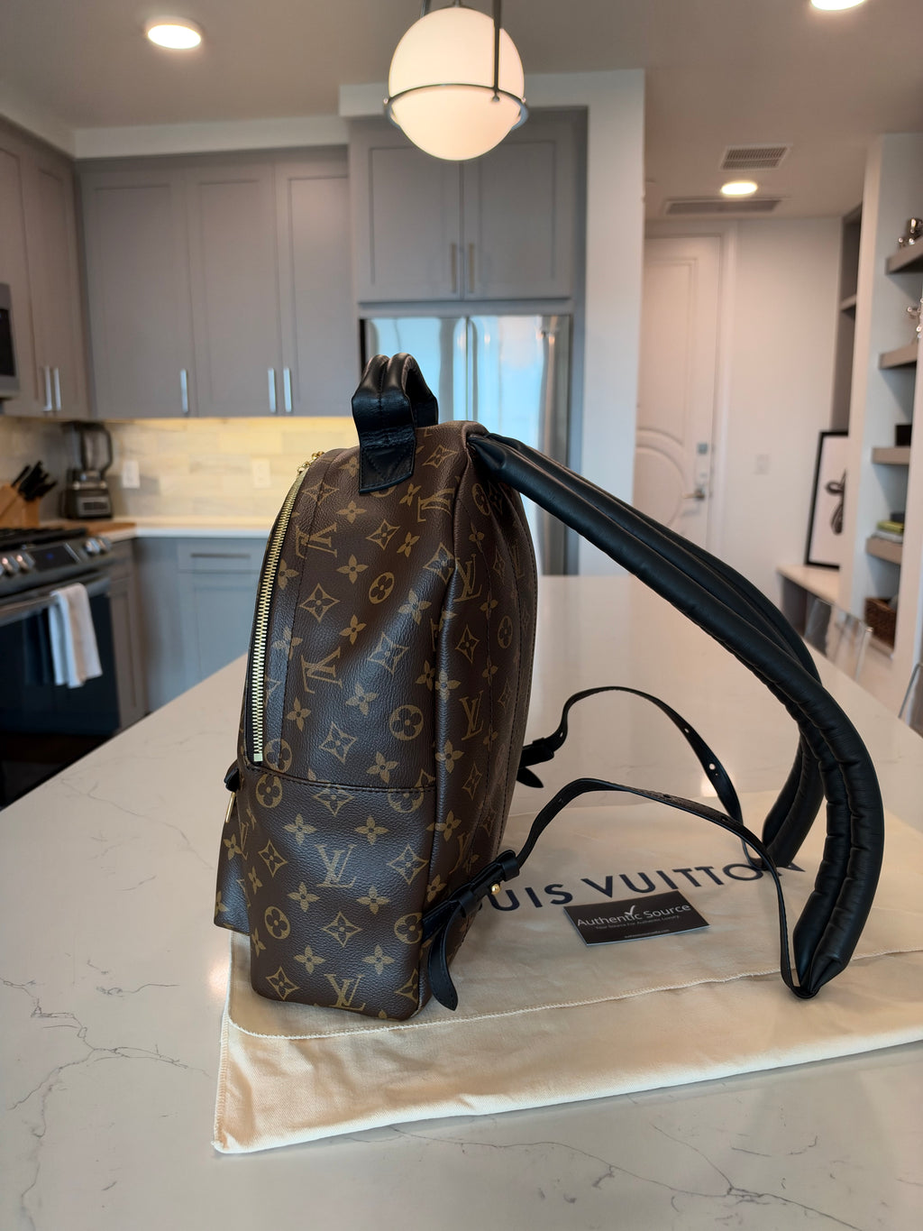 Louis Vuitton Palm Springs MM Backpack