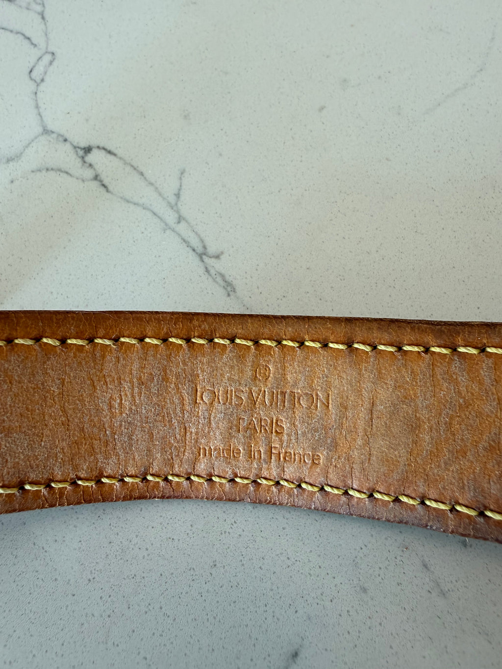 Louis Vuitton Baxter GM Pet Collar