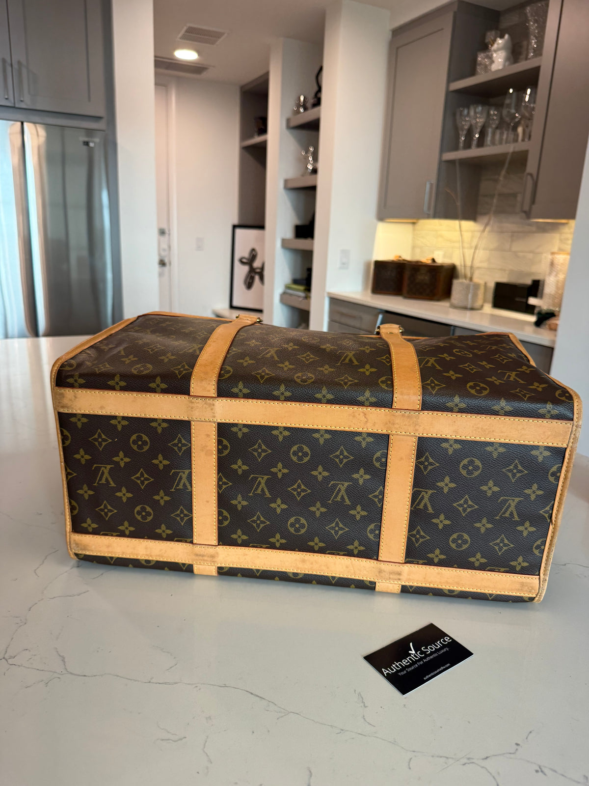 Louis Vuitton Pet Carrier Sac Chein 50