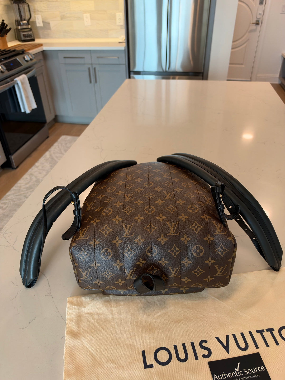 Louis Vuitton Palm Springs MM Backpack