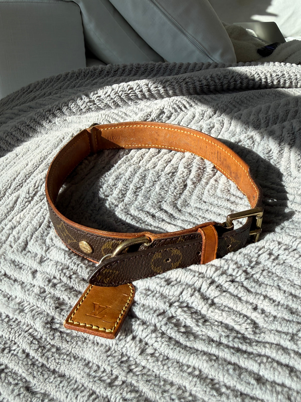 Louis Vuitton Baxter GM Pet Collar