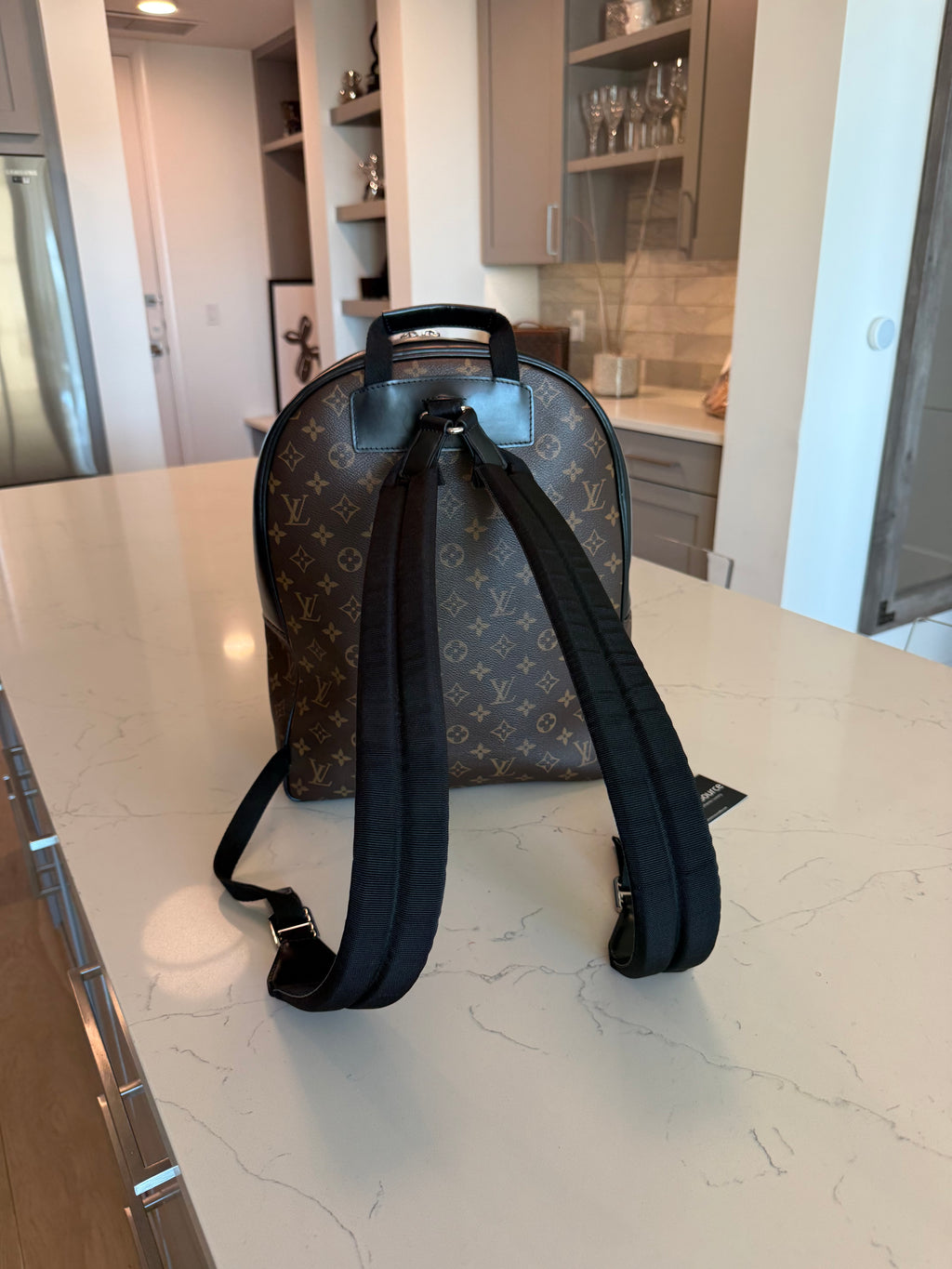 Louis Vuitton Josh Backpack Macassar