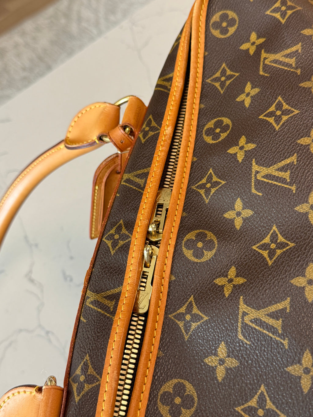 Louis Vuitton Pet Carrier Sac Chein 50
