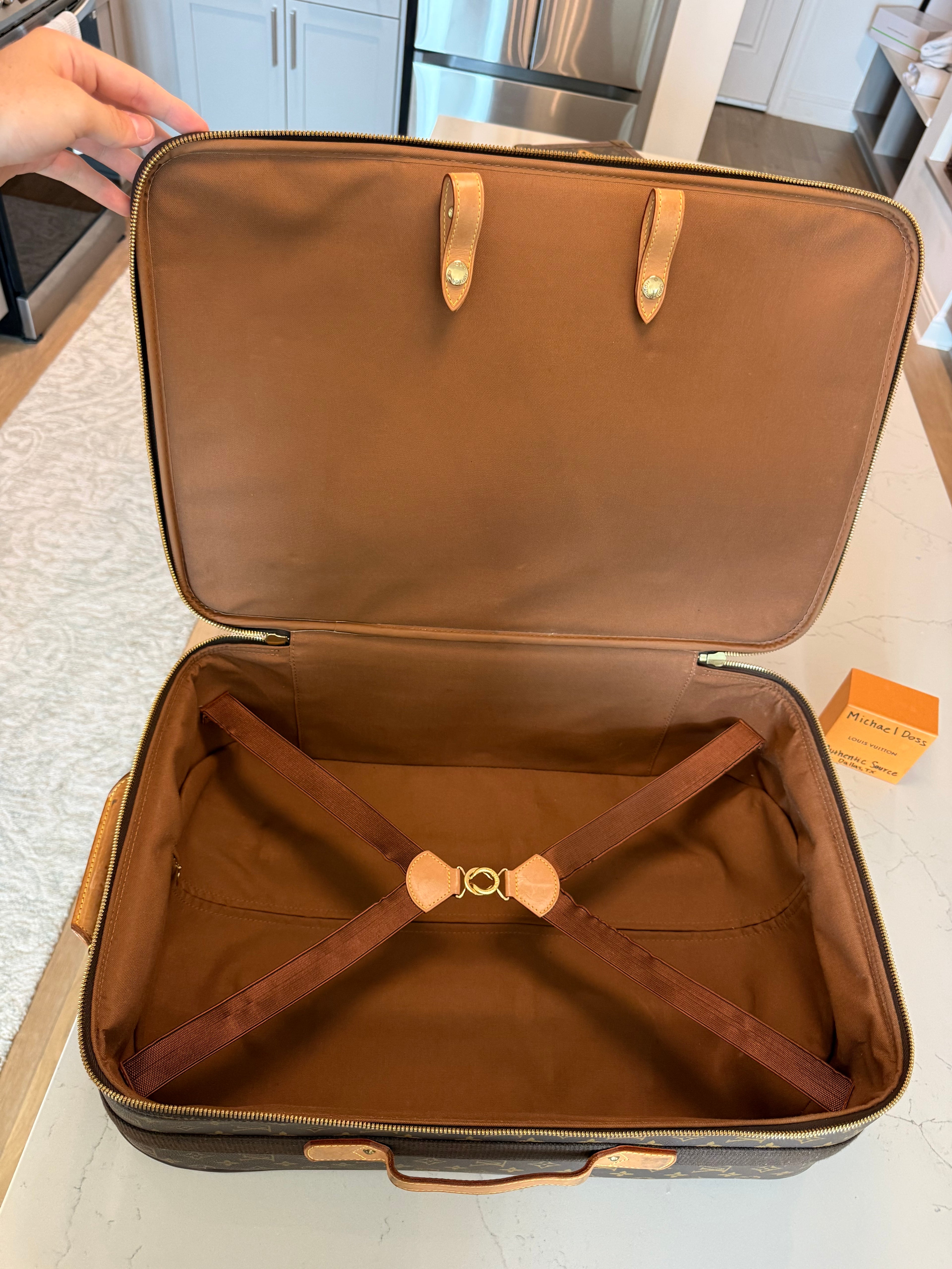 Louis Vuitton Pegase 55 Rolling Luggage