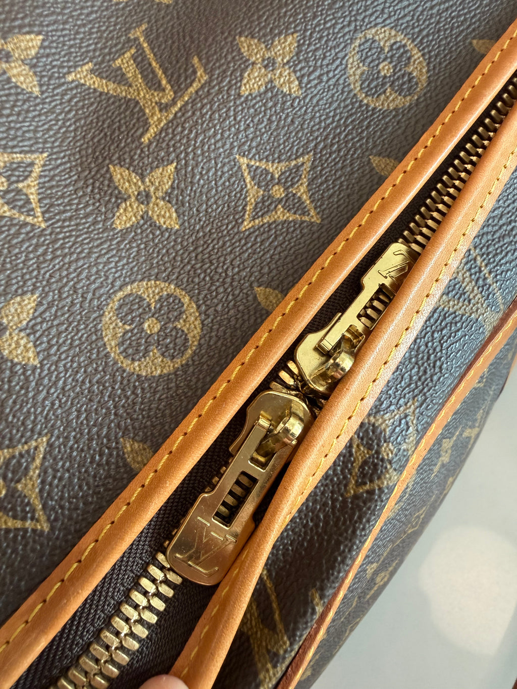 Louis Vuitton Pet Carrier Sac Chein 50