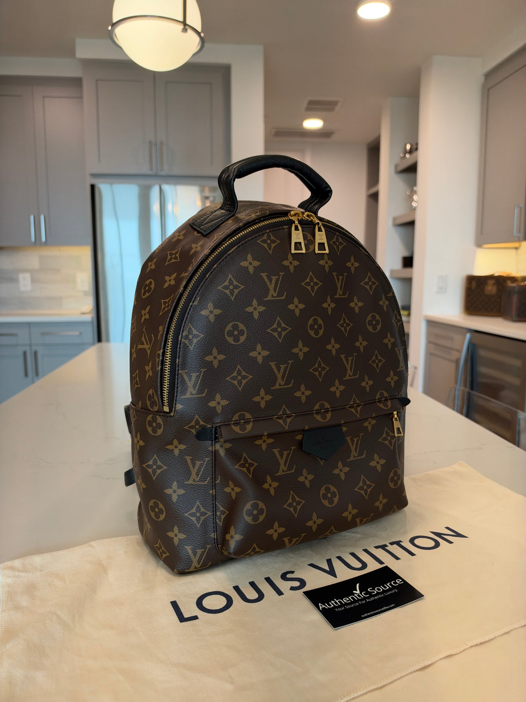 Louis Vuitton Palm Springs MM Backpack