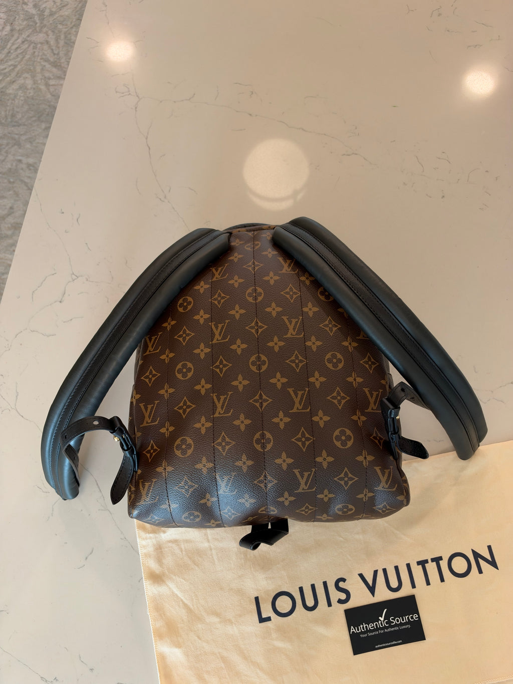 Louis Vuitton Palm Springs MM Backpack