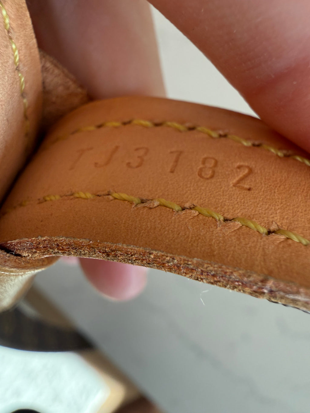 Louis Vuitton Dog Leash