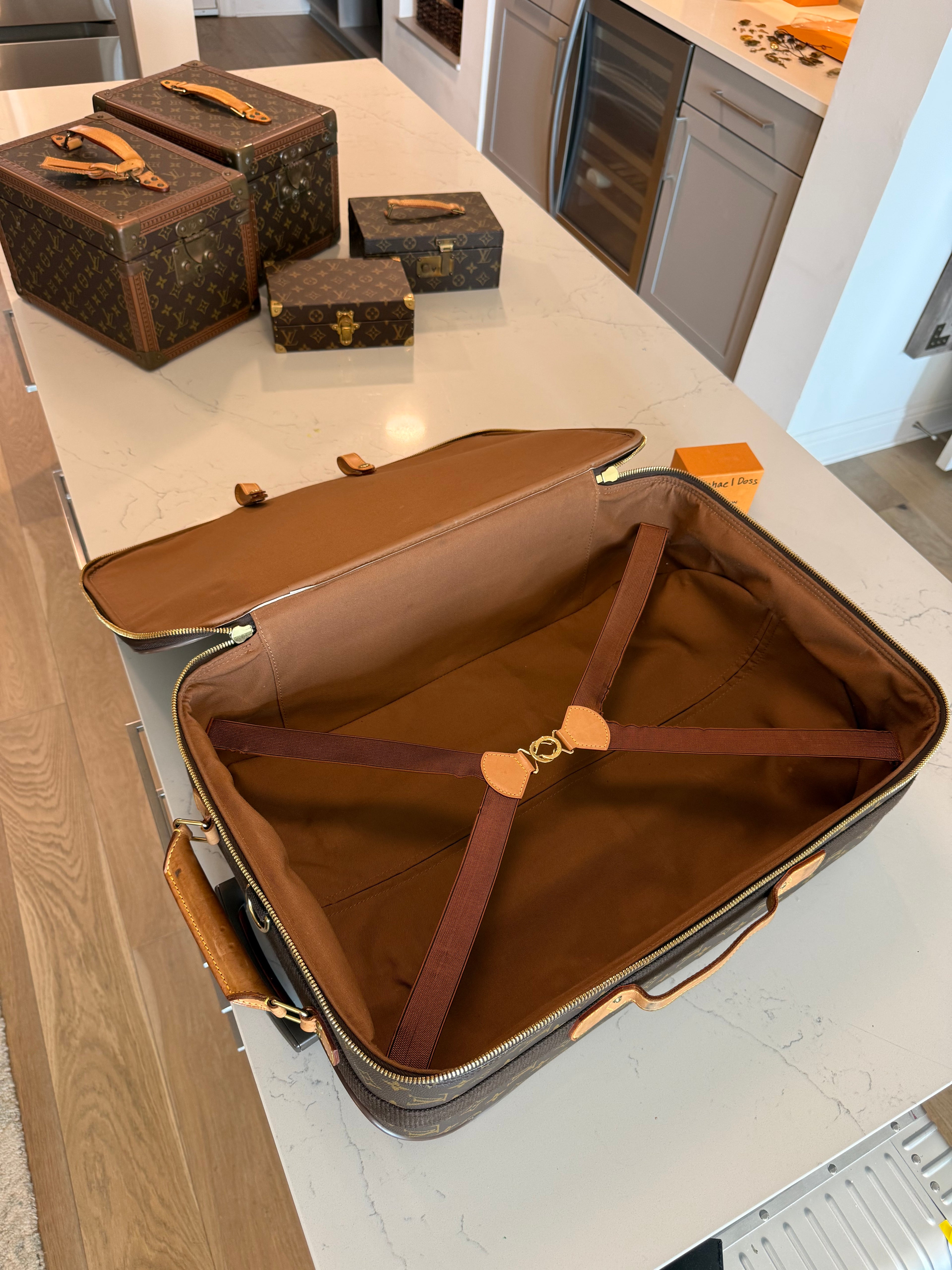 Louis Vuitton Pegase 55 Rolling Luggage