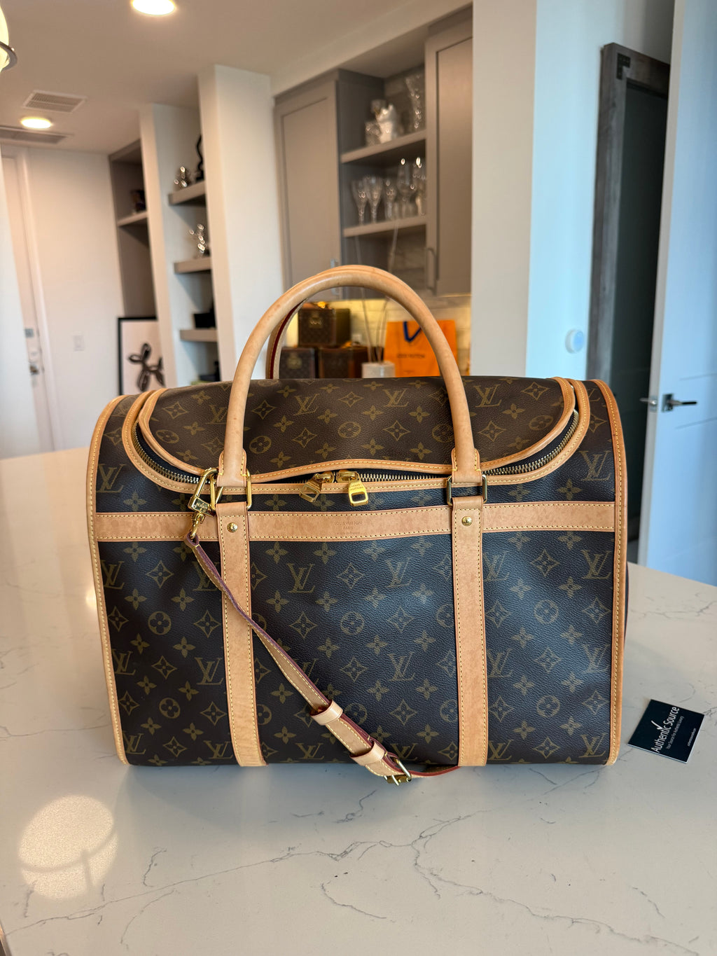 Louis Vuitton Pet Carrier