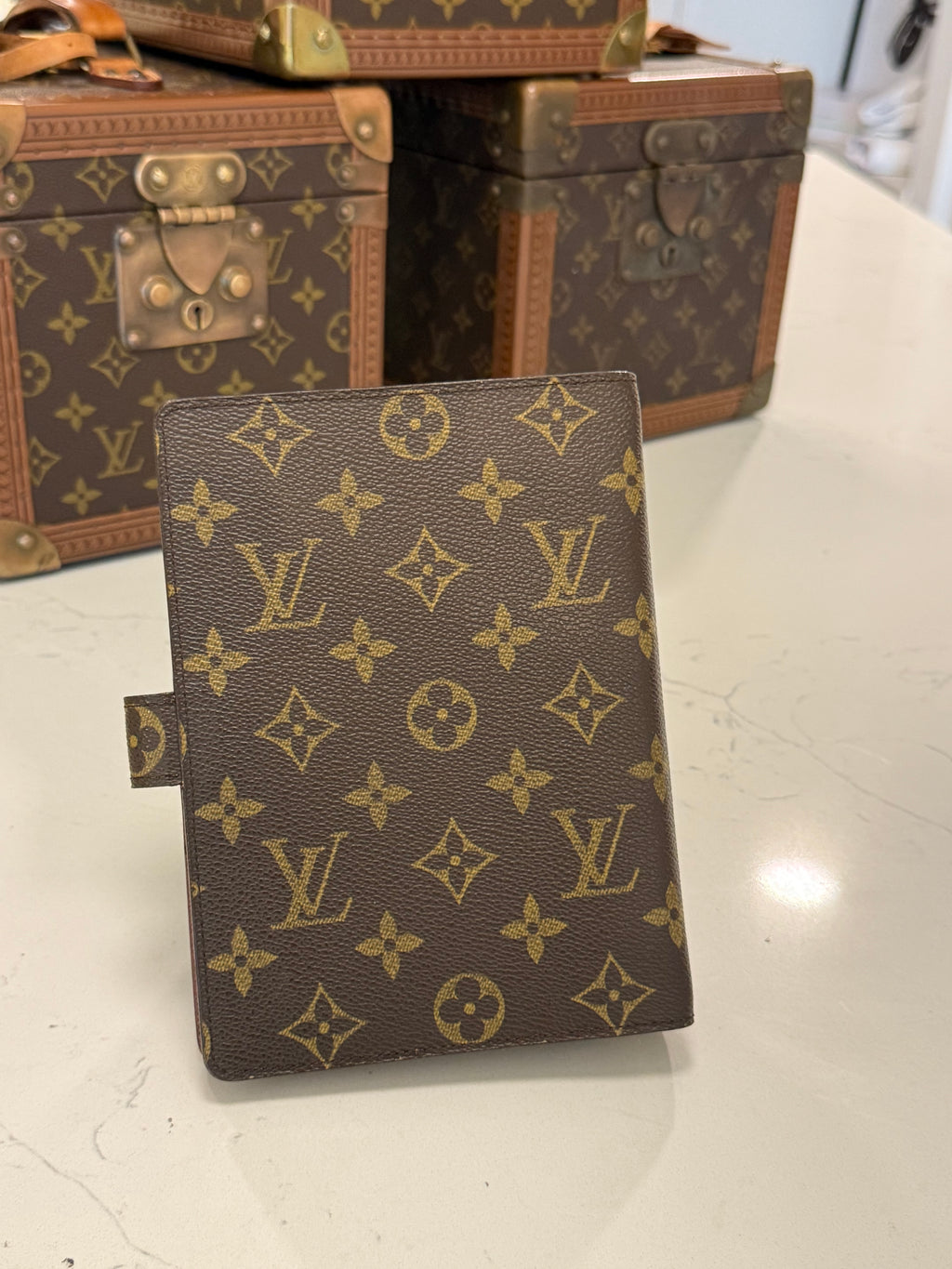 Louis Vuitton Agenda MM