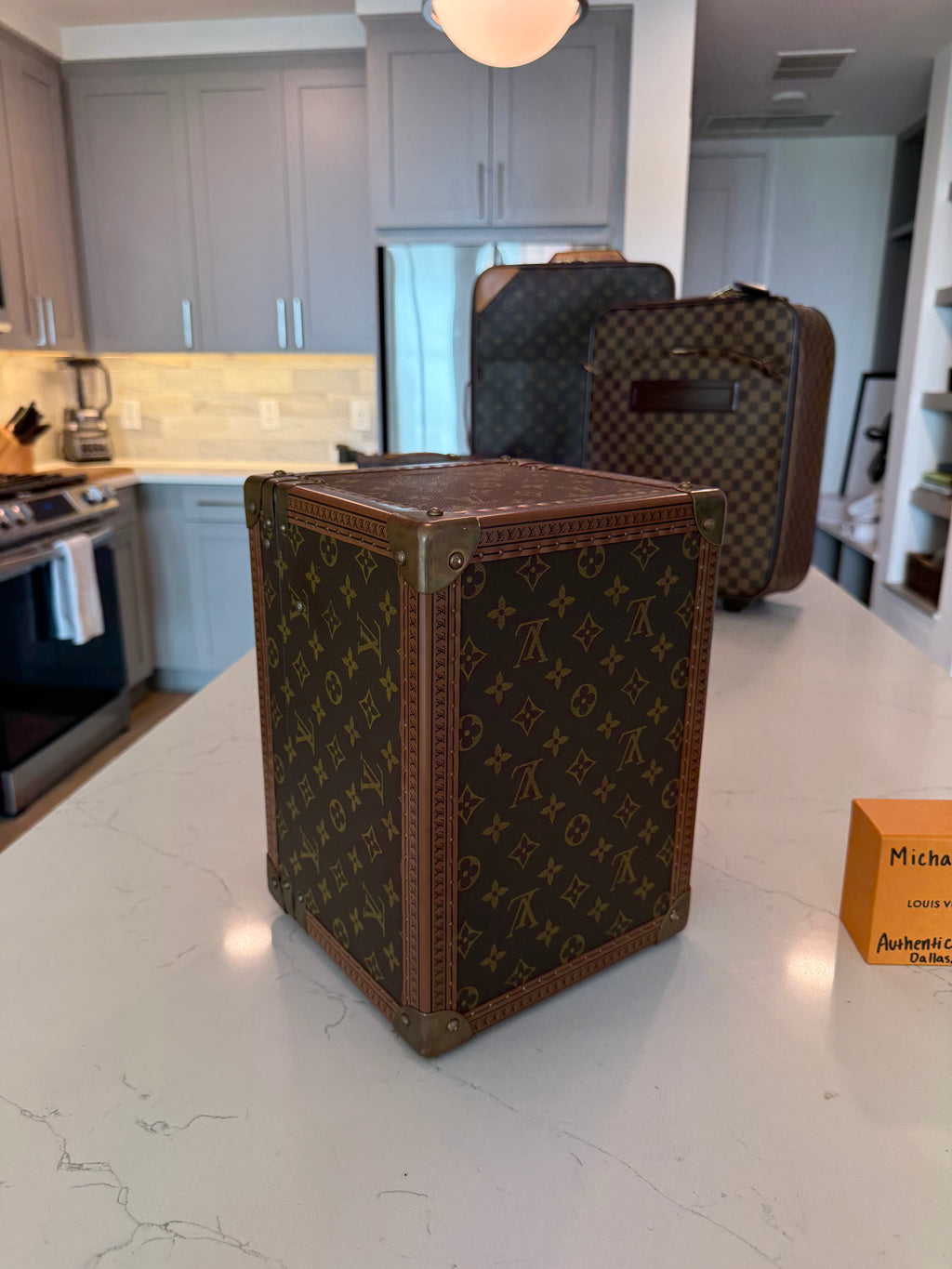 Louis Vuitton Boite Falcons Vanity Trunk