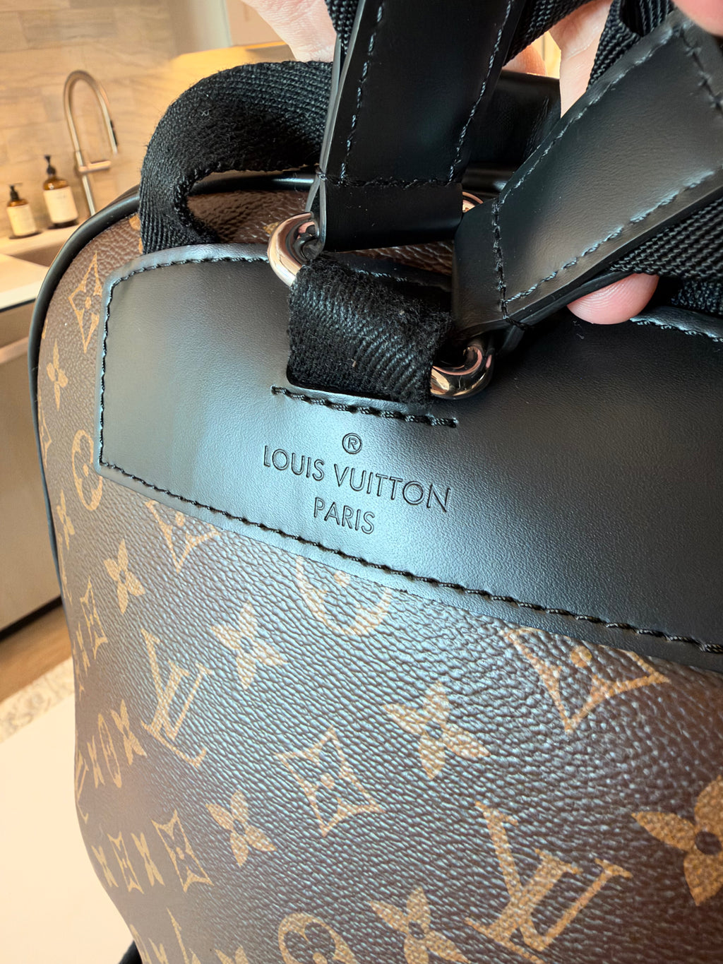 Louis Vuitton Josh Backpack Macassar