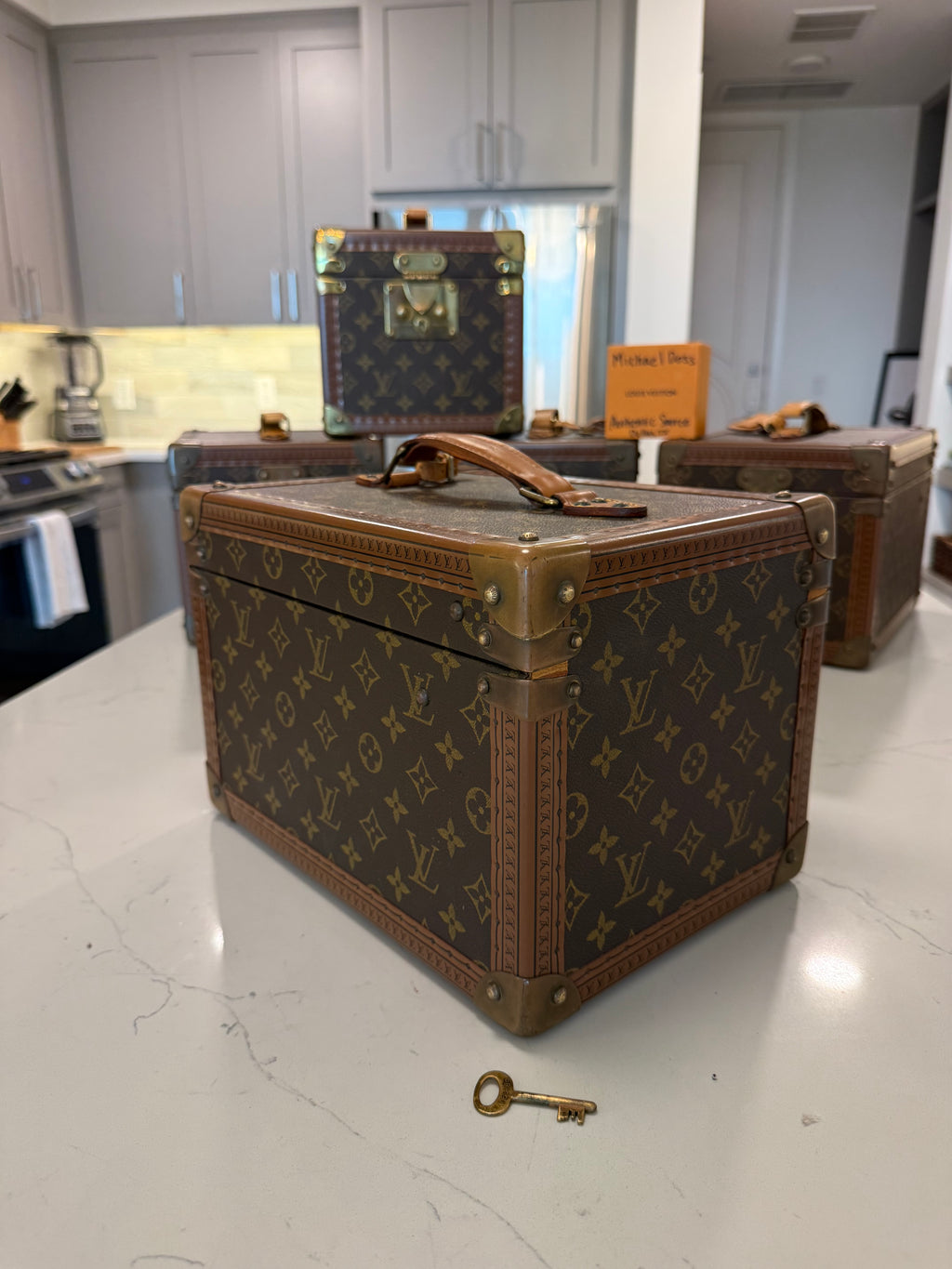 Louis Vuitton Boite Falcons Vanity Trunk