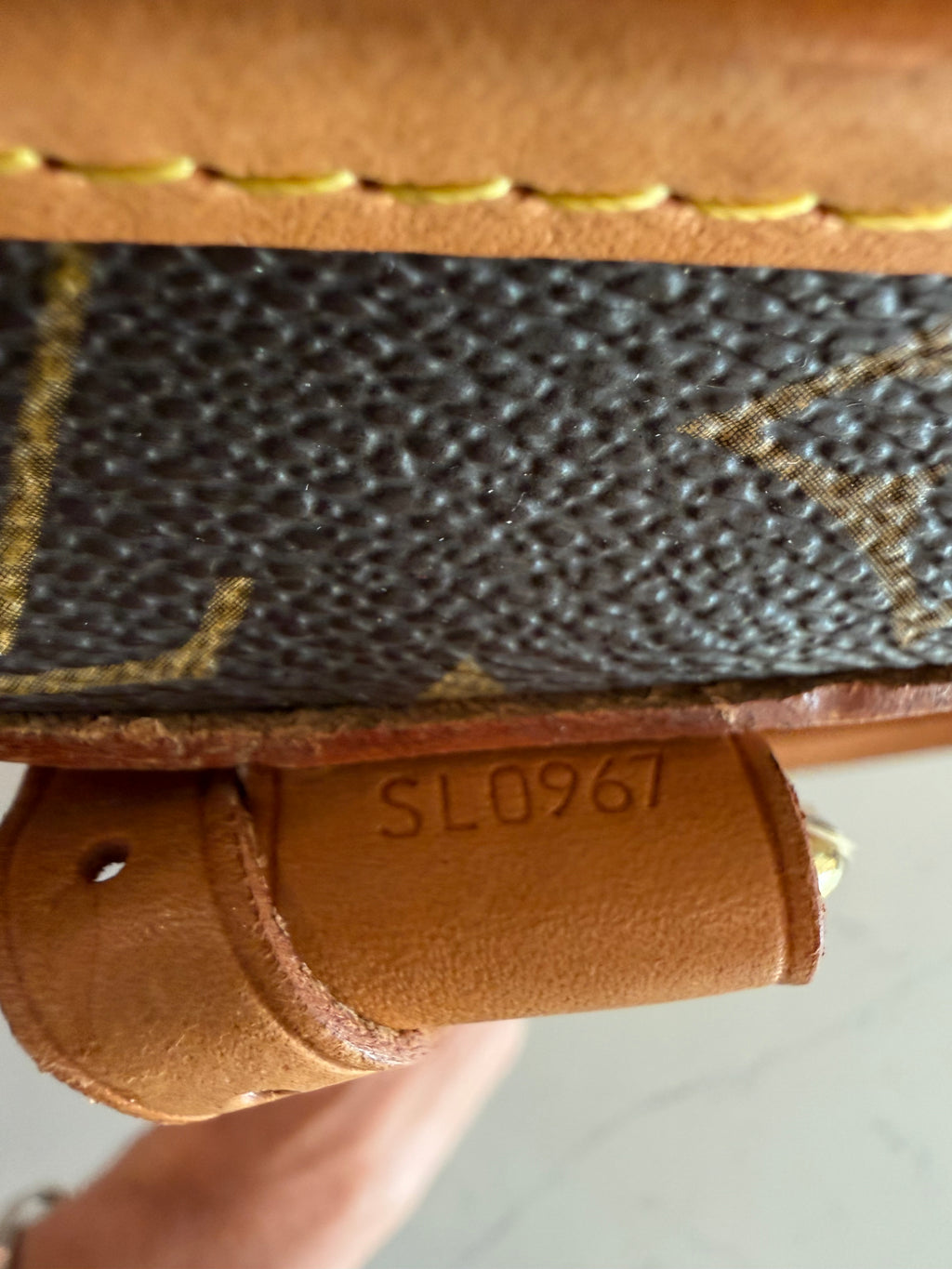 Louis Vuitton Pet Carrier Sac Chein 50