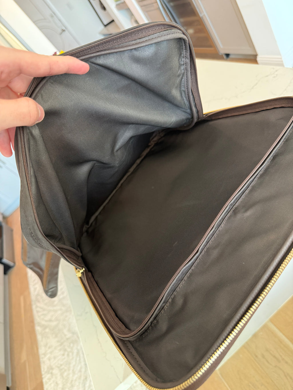 Louis Vuitton Pegase 45 - Damier Ebene