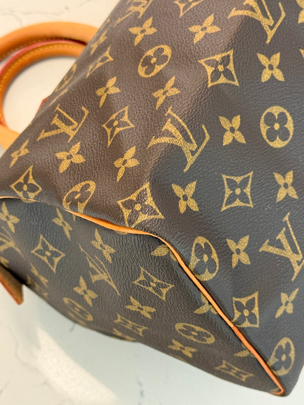 Louis Vuitton Speedy 25 Mongram
