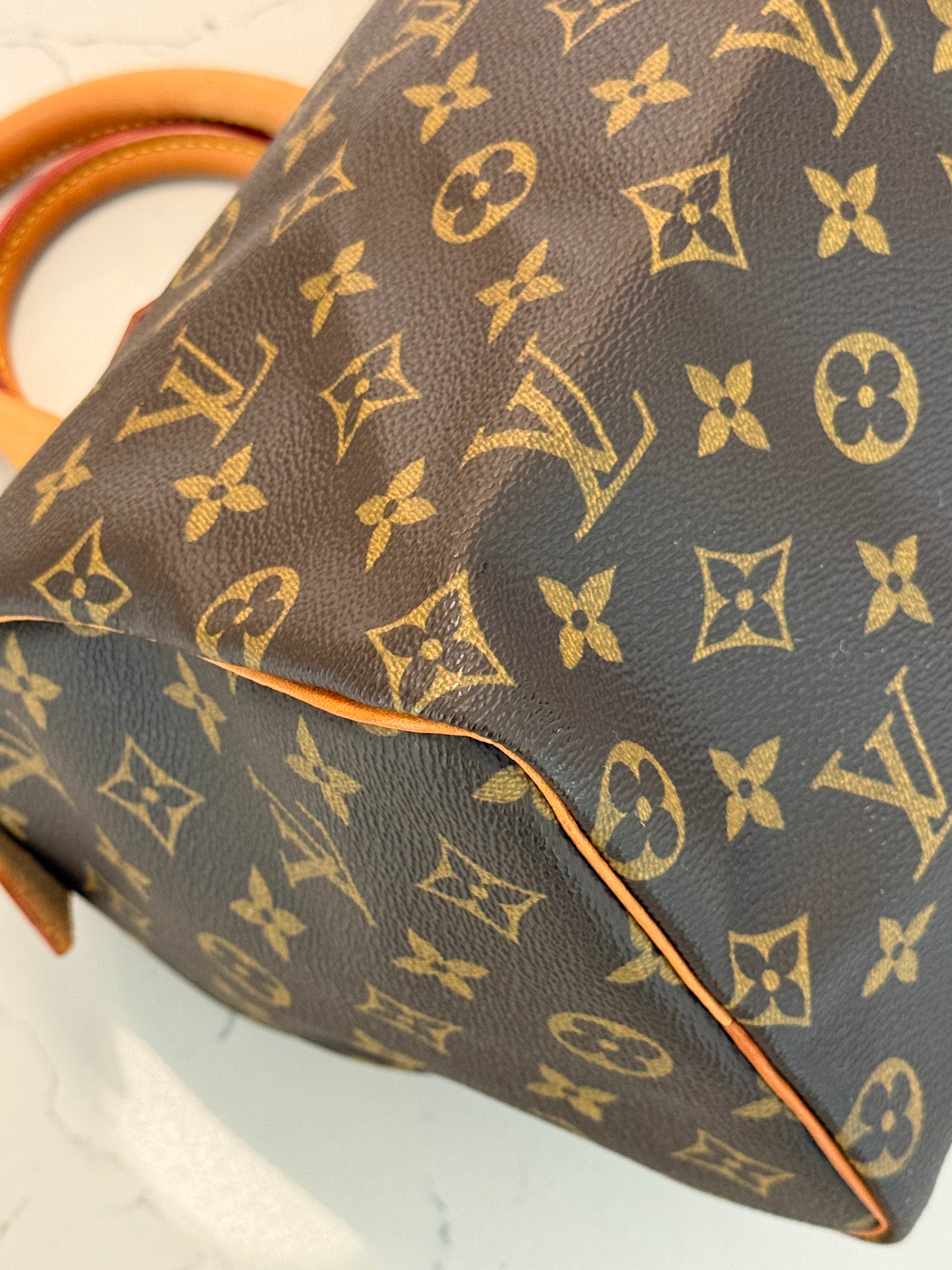 Louis Vuitton Speedy 25 Mongram