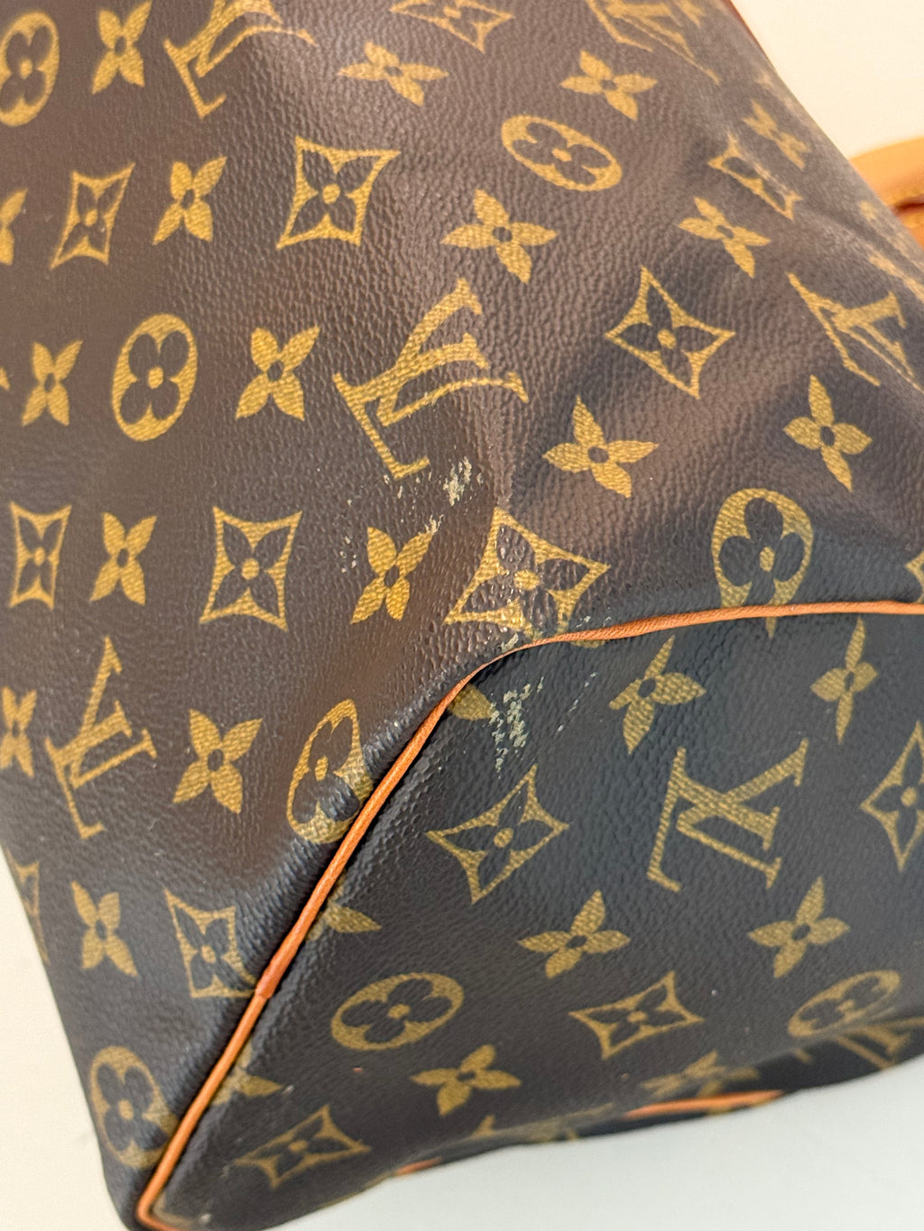 Louis Vuitton Speedy 25 Mongram